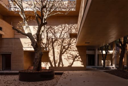 Jingyang Camphor Court